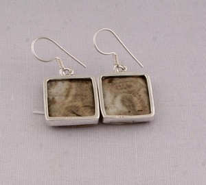 925 <b>Sterling</b> <b>Silver</b> Fosil Coral <b>Earrings</b> Natural Composite Gemstone Marquise <b>Dangle</b> <b>Earrings</b> Handmade Jewelry - Product Image 6