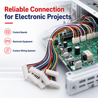 Arnés de Cableado JST Personalizado, Conjunto de Cables con Conector Multipin, Cable Codificado por Colores para Equipos Electrónicos, Suministro OEM ODM
