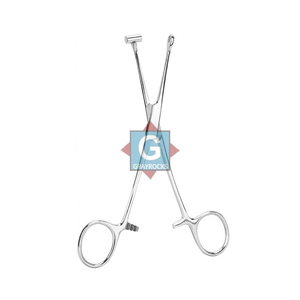 Pinzas para Perforación de Oreja Tipo Tragus de Alta Calidad Gray Rocks de 6'' con Diseño de Cubeta, Herramienta Multifunción Precisa para el Cuidado de la Piel, de Acero Inoxidable - Product Image 1
