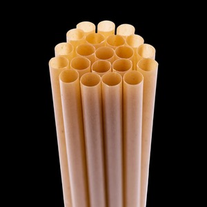 Eco-friendly Biodegradable Sugarcane <b>Disposable</b> Straight Straws 210mm - Product Image 4