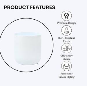 Decoración de Mesa, Elegante Maceta Pequeña para Interiores, Macetero Decorativo de Metal, Ideal para el Hogar, la Oficina y Regalos - Product Image 4