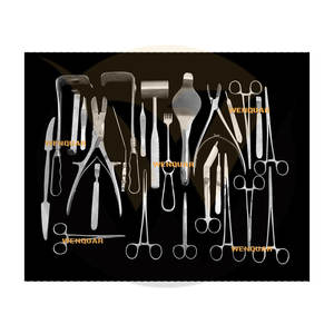 Juego de Instrumentos Quirúrgicos de Traumatología de Alta Calidad, Acero Inoxidable Alemán, Fabricado por Wenquar Pakistán - Product Image 5