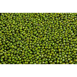 Haricots Mungo Verts Entiers, Nettoyés et Triés par Sortex, pour l'Exportation, la Vente au Détail et la Vente en Gros - Product Image 5