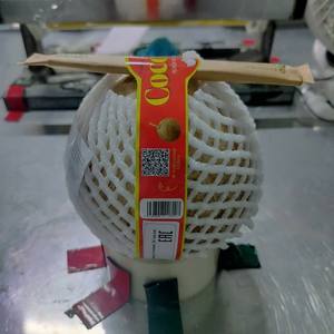 Pour applications alimentaires haut de gamme, noix de coco semi-décortiquée de qualité supérieure, fruit tropical frais et mûr, fabricant exportateur du Vietnam - Product Image 6