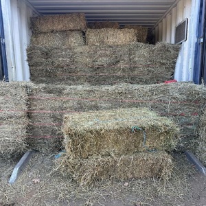 Heno de Alfalfa Premium, Pacas de Alfalfa y Trébol, Grado Alimenticio para Ganado, Caballos y Perros, 100% Natural, Alto Contenido de Proteínas, 2% de Humedad, 25 kg/saco - Product Image 2