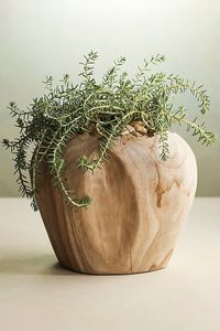 Pot de fleurs élégant en teck tourné à la main - Décoration d'intérieur haut de gamme - Product Image 2