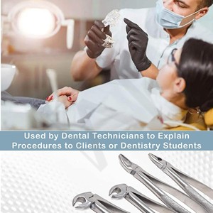 Stainless Steel Dental Extracting Forceps Kit Professional Tooth Sourcing Extraction <b>Pliers</b> <b>Set</b> Medical Dentistry Instruments - Product Image 3