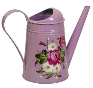 Arrosoir de jardin en métal résistant aux fuites avec une large ouverture de remplissage pour une hydratation quotidienne pratique des plantes - Product Image 1