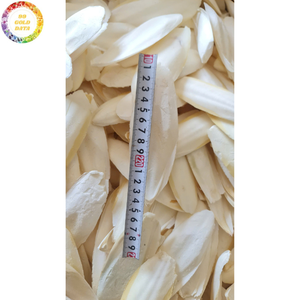 Os de Seiche Naturel Séché de Haute Qualité pour Cage à Oiseaux – Produit à Mâcher pour Perroquets, Budgerigars, Canaris et Pinsons - Product Image 4