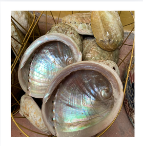 Coquille d'ormeau naturelle polie, matériau artisanal écologique de forme unique du Vietnam pour la décoration intérieure et les créations faites à la main - Product Image 1