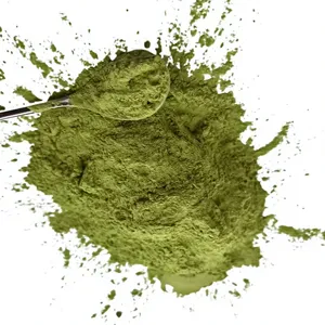 Approvisionnement en gros de poudre de feuilles de Moringa 100 % pure, qualité alimentaire, extrait végétal, en fût et emballage sous vide, provenant d'Inde - Product Image 3