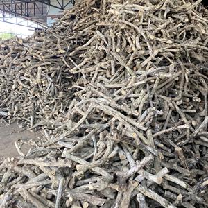 Juguete Masticable de Cuerda de Cáñamo con Dos Nudos para Perros, Fortalece la Mandíbula, Agarre de Doble Nudo para Juego Interactivo de Arrastre, Fabricante de Vietnam - Product Image 6