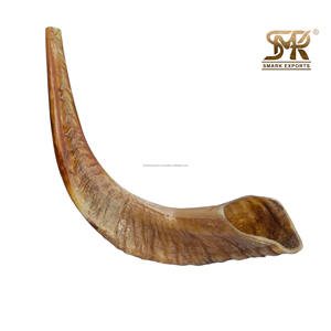 Shofar de Cuerno de Carnero Natural Pulido de Alta Calidad, Ecológico, Instrumento Religioso Judío, Hecho a Mano, Cuerno Tradicional para la Oración - Product Image 5