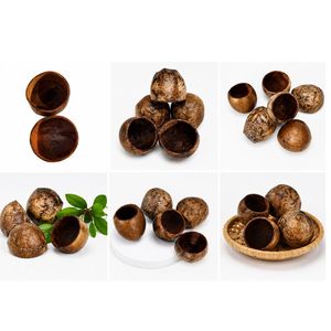 AQUA VRIKSHA Cápsulas Naturales de Bael para Acuarios, Peceras de Betta, Peceras de Camarones y Acuapaisajismo |   Paquete de 2 - Product Image 3