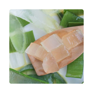 Cubes d'aloe vera vietnamien pour garniture de thé, desserts et fabrication de boissons - Product Image 5