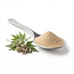 Fournisseur, fabricant, grossiste et exportateur de poudre d'extrait de plante médicinale Abelmoschus Moschatus - Product Image 2