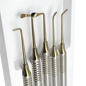 Juego de Instrumentos Quirúrgicos Dentales de 5 Piezas con Empuñadura Moleteada, Herramientas de Cirugía Oral de Acero Inoxidable Plateadas, Uso Manual Clase I para Hospital - Product Image 4