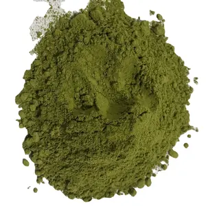 MORINGA OLEOFEA POWDER WITH GOOD QUANTITY AND CHEAP PRICE FROM VIETNAMESE SUPPLIER