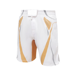 Shorts de boxe personnalisés en satin de haute qualité pour arts martiaux, Muay Thai et MMA – Nouveaux shorts de combat extensibles - Product Image 1