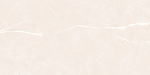 Azulejos de Cerámica con Acabado Pulido Modelo 1064-L 300x600mm - Product Image 1