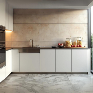 Tùy Chỉnh Cao cấp Sang Trọng 304 Thép Không Gỉ Nhôm Hồ Sơ Composite Bảng Điều Chỉnh Treo Tường Tủ Bếp Đặt Modular Nhà Bếp - Product Image 1