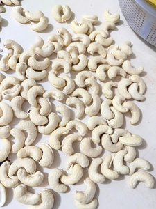 Nueces de Anacardo Orgánicas Tostadas y Secas con Sal, a Granel, Premium, Snack, Vietnam IIGLOBAL FARM, Alimento de Primera Calidad, 12-24 Meses de Vida Útil - Product Image 6