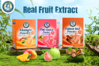 Mangue lyophilisée en poudre, fruits secs, pour enfants et adultes, boîte, 100% naturel, goût sucré, boisson, nouvelle arrivée, export