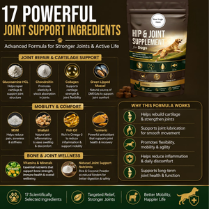 Complément pour articulations des chiens : Chondroïtine, Glucosamine, MSM, Huile de graines de chanvre – Friandises à mâcher souples pour toutes les races, sans céréales, soutien immunitaire et mobilité - Product Image 4