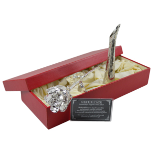 Rose véritable trempée dans l'argent avec support en laiton indien, coffret de luxe, meilleur cadeau de Noël, de mariage et de la Saint-Valentin - Product Image 1