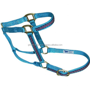 Correa de nailon 100% cosida doble de triple espesor Halter de caballo de nailon con herrajes de latón macizo y ojales Tamaños personalizados disponibles - Product Image 2