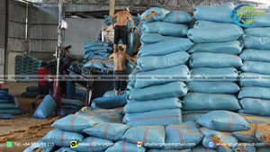 Cocopeat 95 5 de bajo EC, ecológico, ideal para plantar, para un crecimiento saludable de las raíces, bloque de alta calidad de 5 kg, Vietnam. - Product Image 6