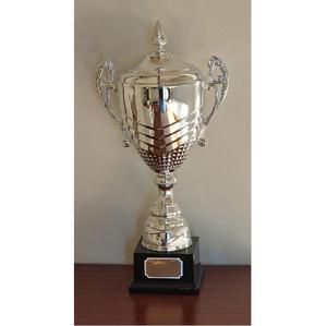 Trofeo Metálico de Diseño Único Más Vendido para Competiciones de Innovación y Tecnología Disponible a Buen Precio - Product Image 1