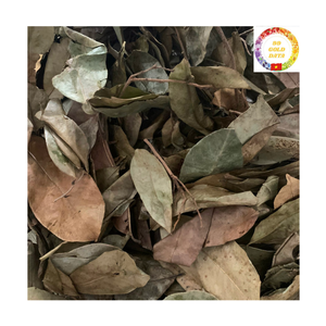 ใบเกรวิโอลาออร์แกนิกสำหรับชงชา |   สมุนไพรฝรั่งอบแห้ง ขายส่งจำนวนมาก รับผลิตแบบ OEM - Product Image 5