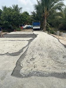 Escamas de Pescado al por Mayor, Materia Prima Marina a Granel para el Mercado de Exportación - Product Image 4