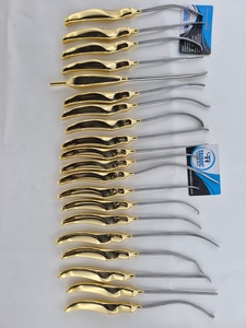Juego Premium de 21 Piezas de Elevadores de Succión Manuales para Levantamiento de Cejas y Disectores Faciales Endoscópicos de Acero Inoxidable Alemán para Cirugía Plástica - Product Image 5