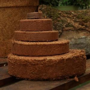 Disques de tourbe de coco naturelle de qualité supérieure pour le jardinage domestique, les pépinières commerciales et la culture professionnelle des plantes - Product Image 3