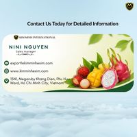 Premium verse mango uit Vietnam, exportkwaliteit, natuurlijk zoet tropisch fruit