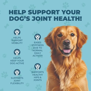 ADINS International Hip Joint Glucosamine Hemp Treat saveur poulet, friandises à mâcher souples pour chiens de tous âges et de toutes races, soutien à la santé des articulations - Product Image 6