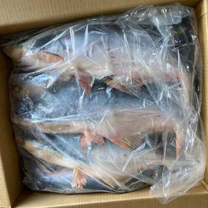 ปลาแพนกาซิอุสแช่แข็งขายส่งยอดนิยม คุณภาพพรีเมียม จัดส่งจำนวนมาก เกรดอาหาร พร้อมส่งออก - Product Image 5