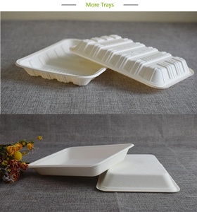 Platos Ligeros de Bagazo para Mariscos 10 x 6 Pulgadas, Bandejas Compostables para Servir Alimentos, Platos Biodegradables para Empaque de Mariscos, Uso 2026 - Product Image 4