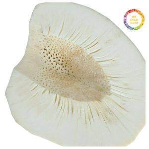 Trozos de Fruta del Pan (Sake) Congelados, Procesados y Limpios, Ingrediente Alimenticio Conveniente, Empaque a Granel - Product Image 6