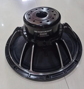 Haut-parleur en néodyme 12 pouces 600 watts parfait pour système audio domestique - Product Image 1