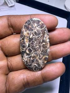 Jaspe TURTELLA 100% Natural de Alta Calidad, Cabujón de Piedra Preciosa Suelta para Sanación, Jaspe al por Mayor para Joyería - Product Image 2