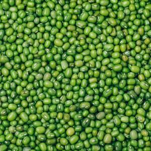 Proveedor mayorista de frijoles mung verdes frescos a granel / frijoles moong enteros de alta calidad y gran stock con envío rápido a Austria - Product Image 6