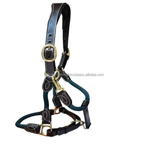 Licol pour cheval en cuir épais extra résistant, fait sur mesure, avec surpiqûres fantaisie et quincaillerie en laiton solide et réglable - Product Image 1