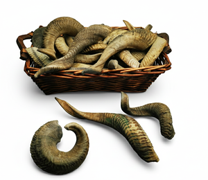Shofar en corne de bélier véritable, brut, fait main, au toucher naturel, non fini, pour les cérémonies religieuses traditionnelles et l'artisanat - Product Image 3