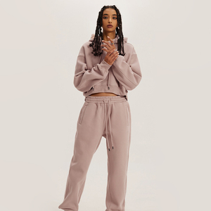 Conjunto Deportivo de Invierno para Mujer, Pantalones Deportivos de Algodón de Color Liso, Sudadera Corta con Capucha, 2 Piezas - Product Image 2