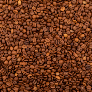 Grains de café indiens de qualité supérieure pour les importateurs de café mondiaux et les réseaux de distribution dans le monde entier - Product Image 6