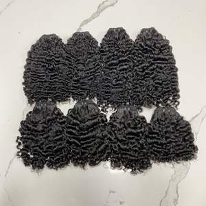 Extensions de cheveux humains vietnamiens bouclés birmans Double trame tissage de cheveux cuticules alignés best-seller pour les femmes noires - Product Image 1