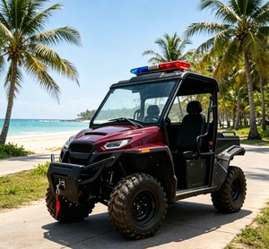 Buggy utilitaire tout-terrain 602C, véhicule robuste pour la patrouille des parcs géologiques en montagne. - Product Image 3